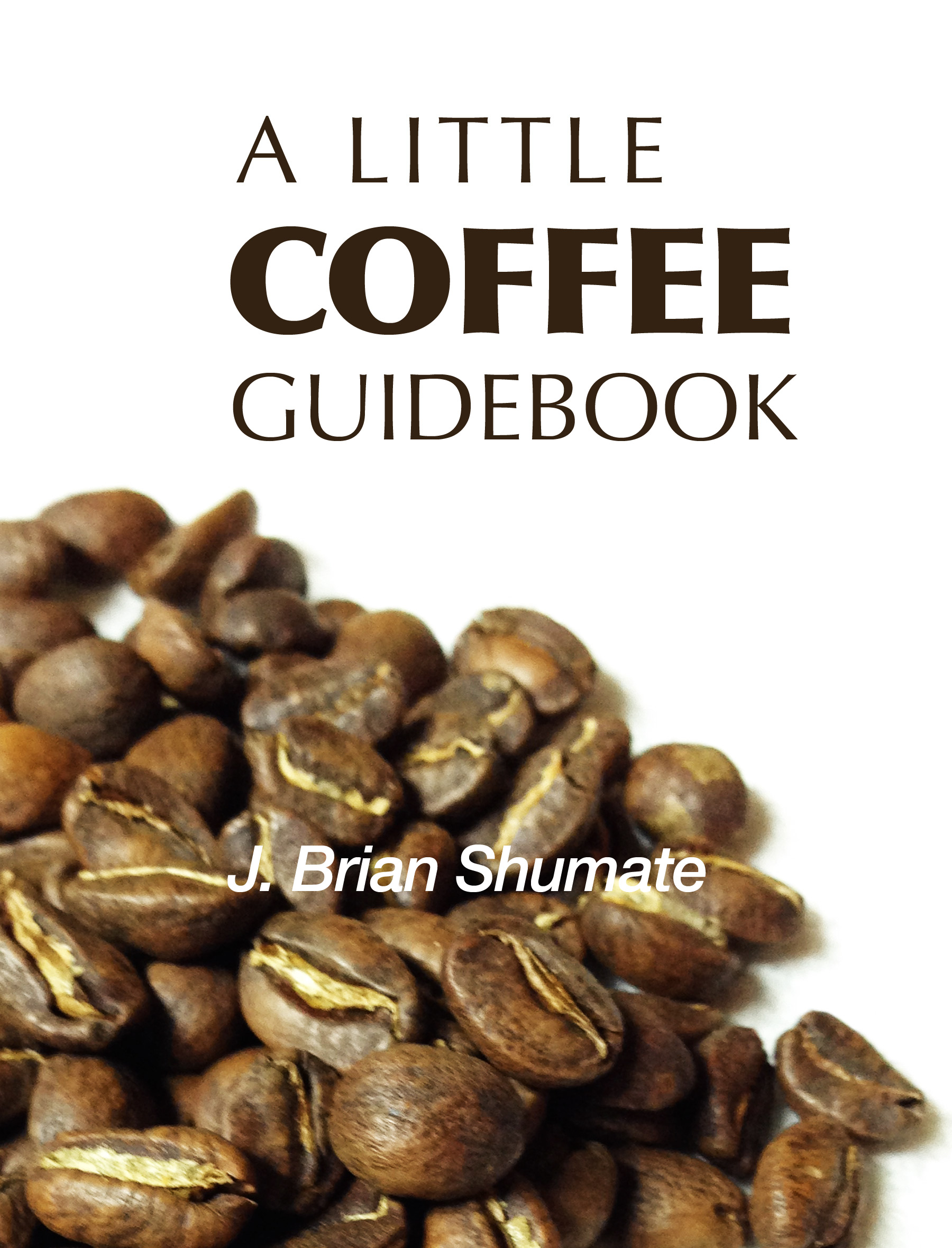A Little Coffee Guidebook cover image